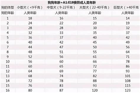 屬狗今年幾多歲|属狗的出生年份表年龄